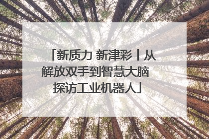 新质力 新津彩丨从解放双手到智慧大脑 探访工业机器人