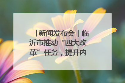 新闻发布会｜临沂市推动“四大改革”任务，提升内部审计监督效能