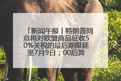 新闻午报丨特朗普同意将对欧盟商品征收50%关税的最后期限延至7月9日；00后舞蹈老师“花式”推介家乡岳阳>>