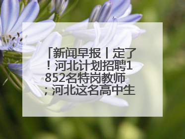 新闻早报丨定了！河北计划招聘1852名特岗教师；河北这名高中生，悄悄做了件超酷的事>>