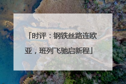 时评：钢铁丝路连欧亚，班列飞驰启新程