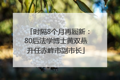 时隔8个月再履新：80后法学博士黄双燕升任赤峰市副市长