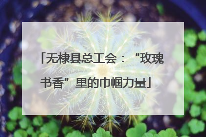 无棣县总工会：“玫瑰书香”里的巾帼力量