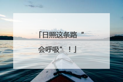 日照这条路“会呼吸”！