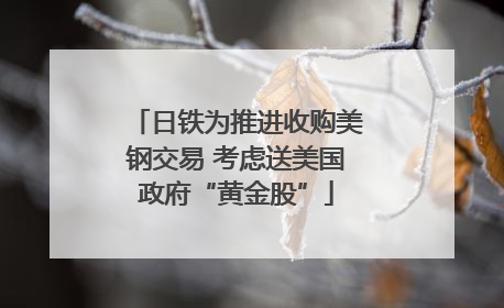 日铁为推进收购美钢交易 考虑送美国政府“黄金股”