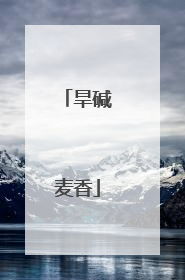 旱碱麦香