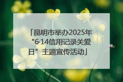 昆明市举办2025年“6·14信用记录关爱日”主题宣传活动