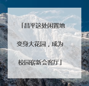 昌平这处闲置地变身大花园，成为校园崭新会客厅