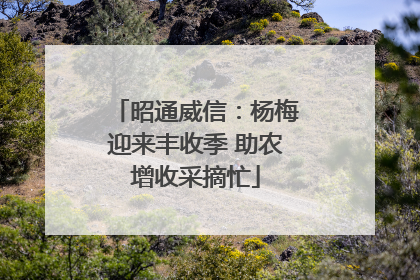 昭通威信：杨梅迎来丰收季 助农增收采摘忙