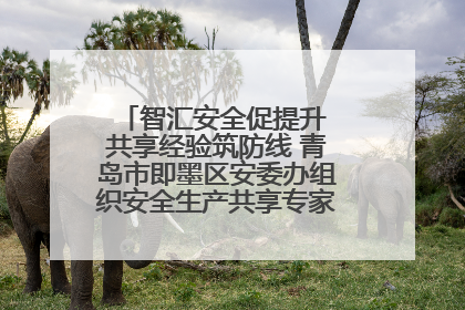 智汇安全促提升 共享经验筑防线 青岛市即墨区安委办组织安全生产共享专家现场观摩学习活动