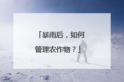 暴雨后，如何管理农作物？