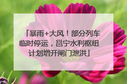 暴雨+大风！部分列车临时停运，邕宁水利枢纽计划增开闸门泄洪