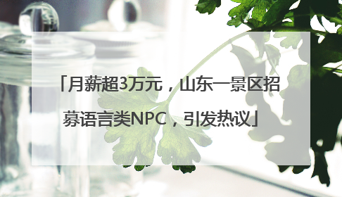 月薪超3万元，山东一景区招募语言类NPC，引发热议