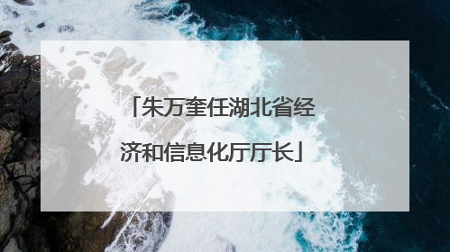 朱万奎任湖北省经济和信息化厅厅长