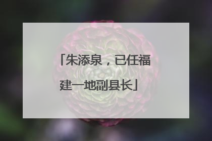朱添泉，已任福建一地副县长