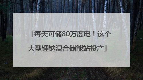每天可储80万度电！这个大型锂钠混合储能站投产