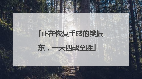 正在恢复手感的樊振东，一天四战全胜