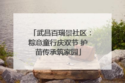 武昌百瑞景社区：粽意童行庆双节 护苗传承筑家园