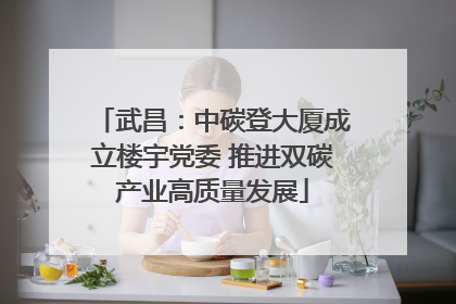 武昌：中碳登大厦成立楼宇党委 推进双碳产业高质量发展