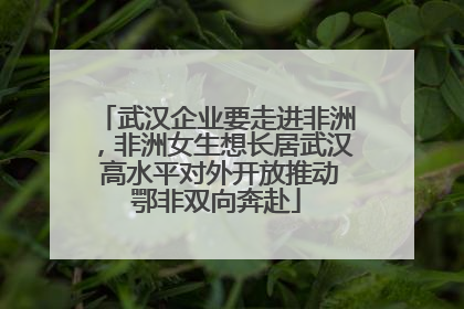 武汉企业要走进非洲，非洲女生想长居武汉 高水平对外开放推动鄂非双向奔赴