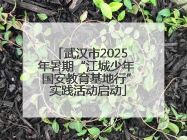 武汉市2025年暑期“江城少年国安教育基地行” 实践活动启动