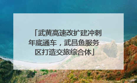 武黄高速改扩建冲刺年底通车，武昌鱼服务区打造交旅综合体