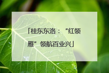 桂东东洛：“红领雁”领航百业兴