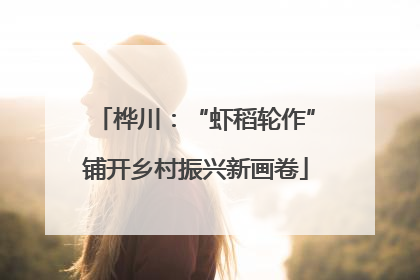 桦川：“虾稻轮作”铺开乡村振兴新画卷