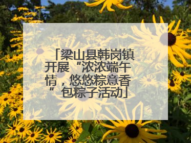 梁山县韩岗镇开展“浓浓端午情，悠悠粽意香”包粽子活动