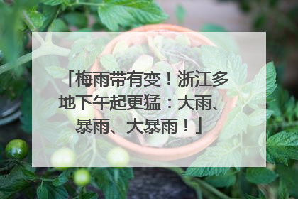 梅雨带有变！浙江多地下午起更猛：大雨、暴雨、大暴雨！