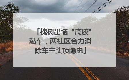 槐树出墙“滴胶”黏车，两社区合力消除车主头顶隐患