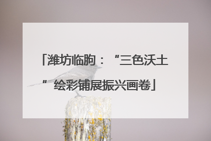潍坊临朐：“三色沃土”绘彩铺展振兴画卷