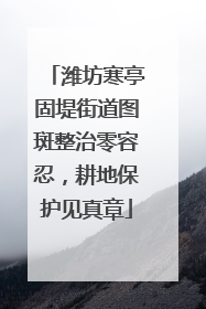 潍坊寒亭固堤街道图斑整治零容忍，耕地保护见真章