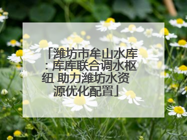 潍坊市牟山水库：库库联合调水枢纽 助力潍坊水资源优化配置