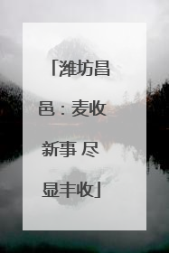 潍坊昌邑：麦收新事 尽显丰收