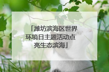 潍坊滨海区世界环境日主题活动点亮生态滨海