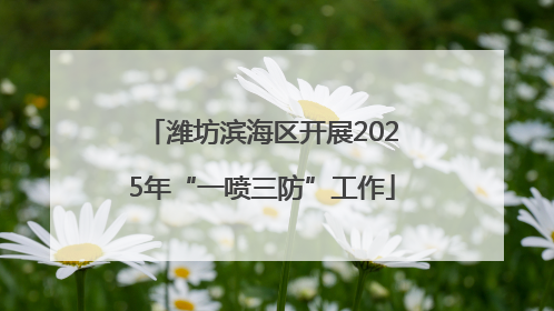 潍坊滨海区开展2025年“一喷三防”工作