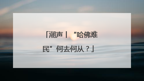 潮声丨“哈佛难民”何去何从？
