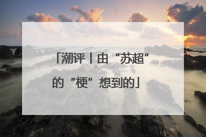 潮评丨由“苏超”的“梗”想到的