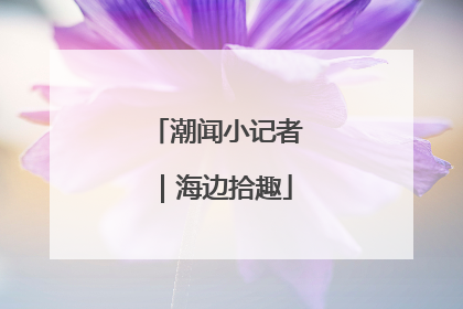 潮闻小记者｜海边拾趣