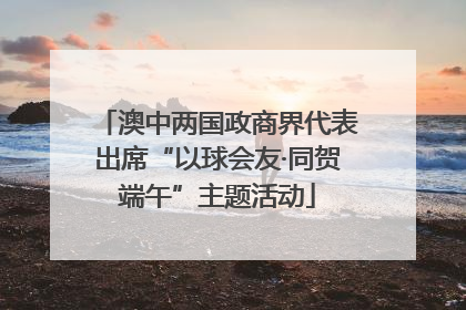澳中两国政商界代表出席“以球会友·同贺端午”主题活动