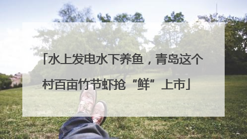 水上发电水下养鱼，青岛这个村百亩竹节虾抢“鲜”上市