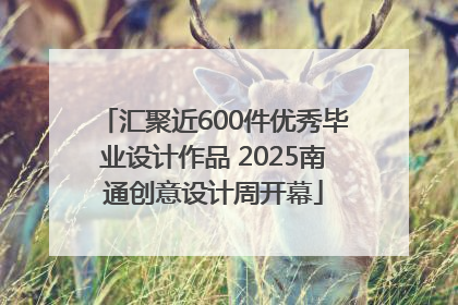 汇聚近600件优秀毕业设计作品 2025南通创意设计周开幕