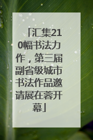 汇集210幅书法力作，第三届副省级城市书法作品邀请展在蓉开幕