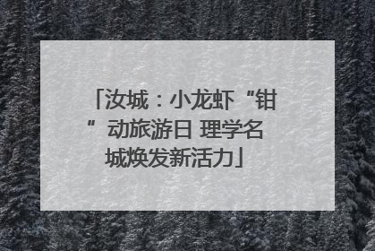 汝城：小龙虾“钳”动旅游日 理学名城焕发新活力