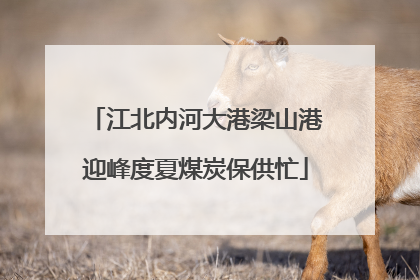 江北内河大港梁山港迎峰度夏煤炭保供忙