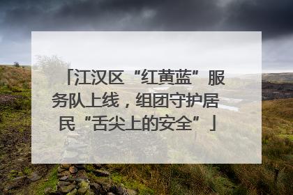 江汉区“红黄蓝”服务队上线，组团守护居民“舌尖上的安全”