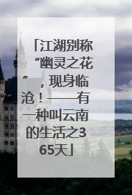江湖别称“幽灵之花”，现身临沧！——有一种叫云南的生活之365天