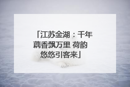 江苏金湖：千年藕香飘万里 荷韵悠悠引客来