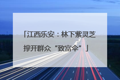 江西乐安：林下紫灵芝撑开群众“致富伞”